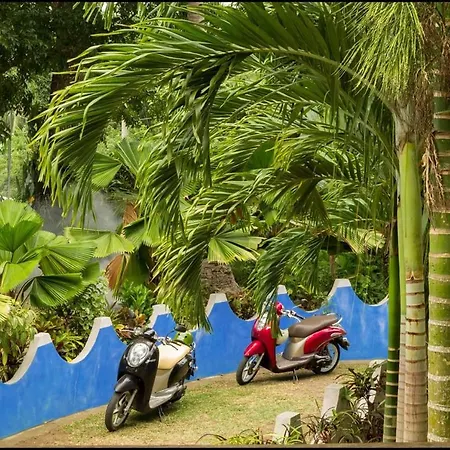 Sun House Rental Mambajao Exterior photo