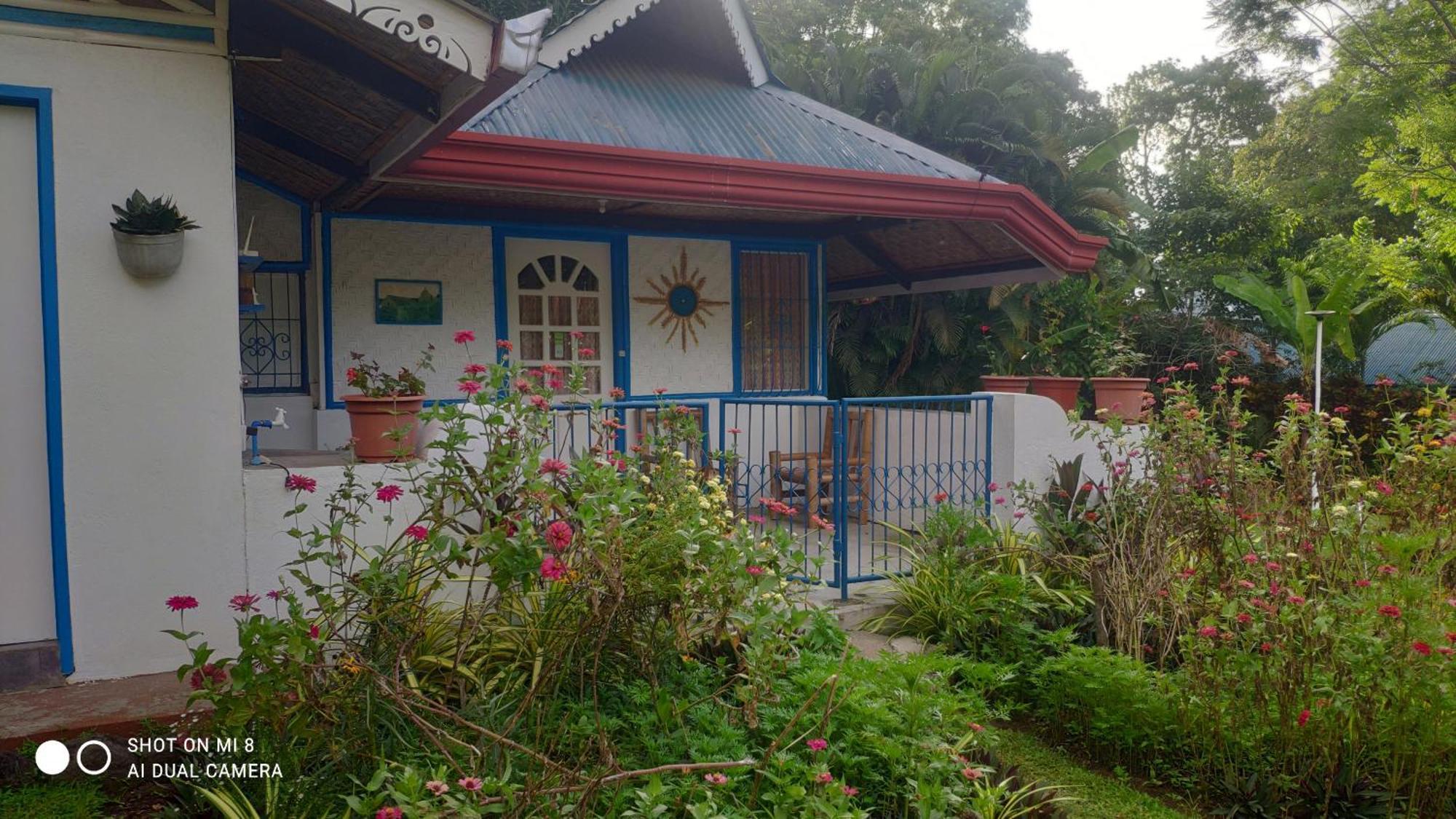 Lodge Sun House