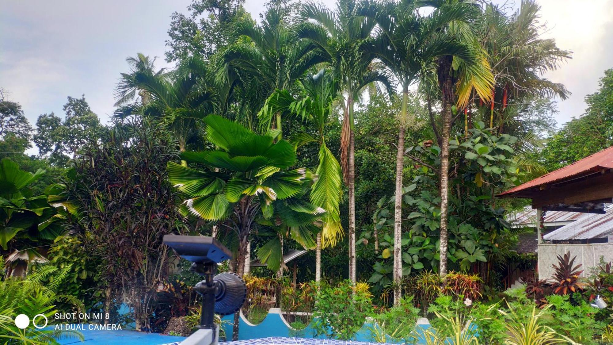 Sun House Lodge Mambajao