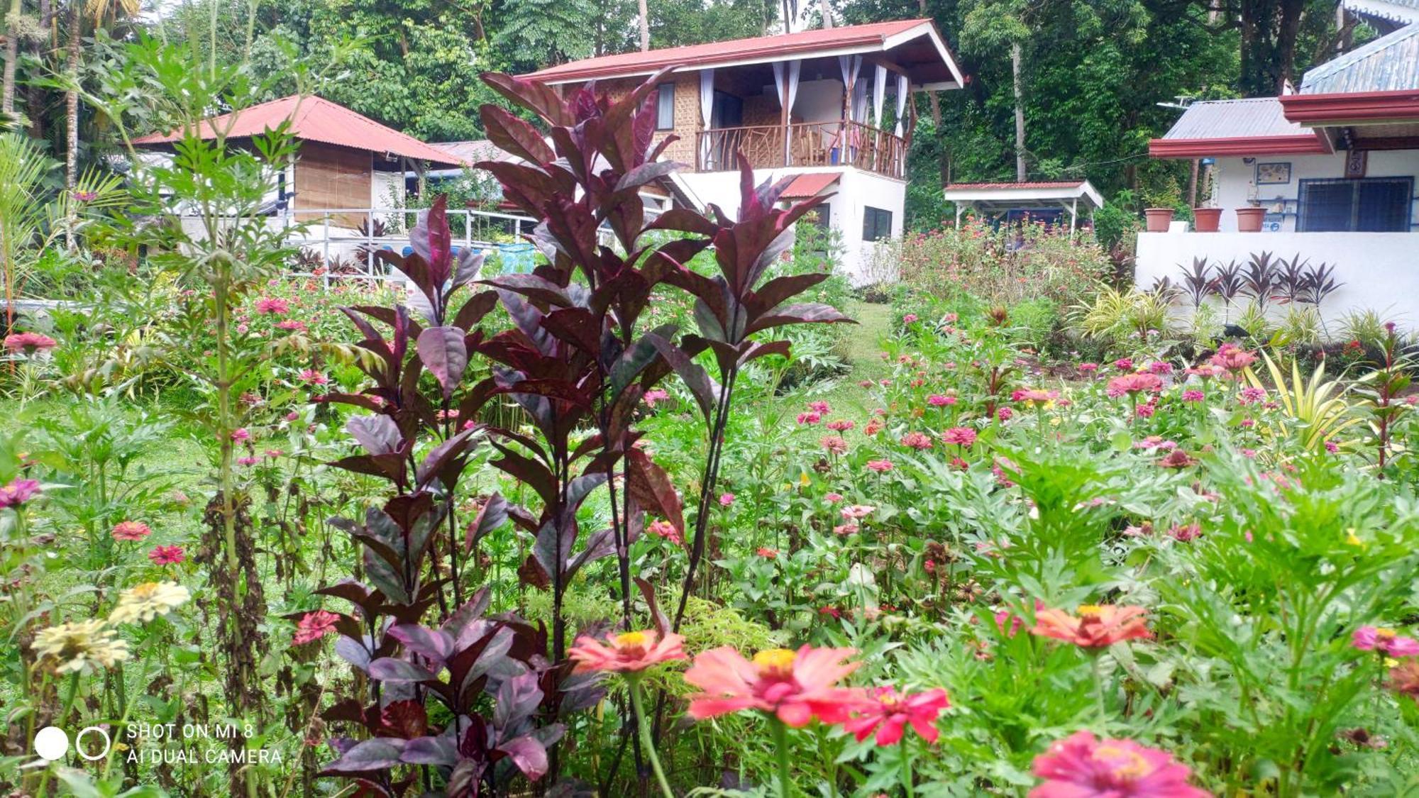 Sun House Lodge Mambajao