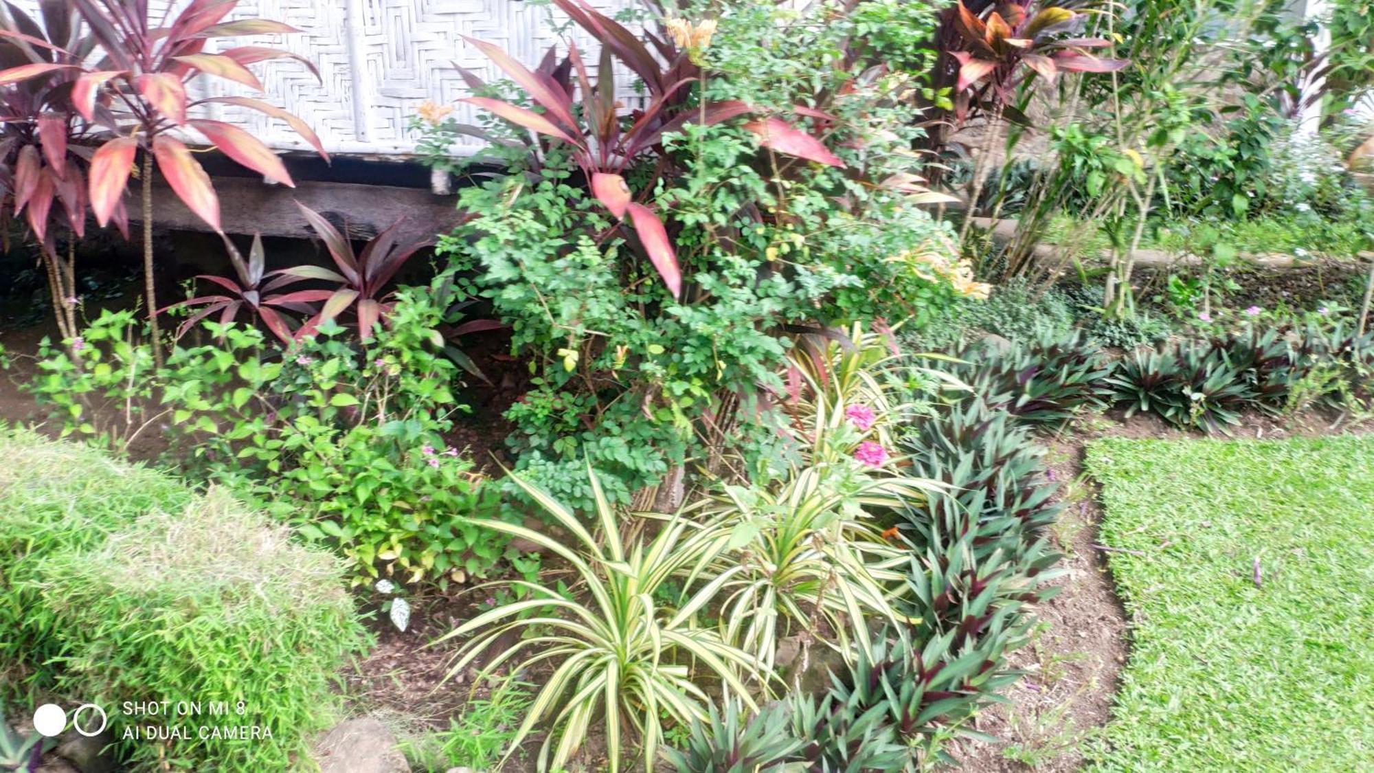 Sun House Mambajao