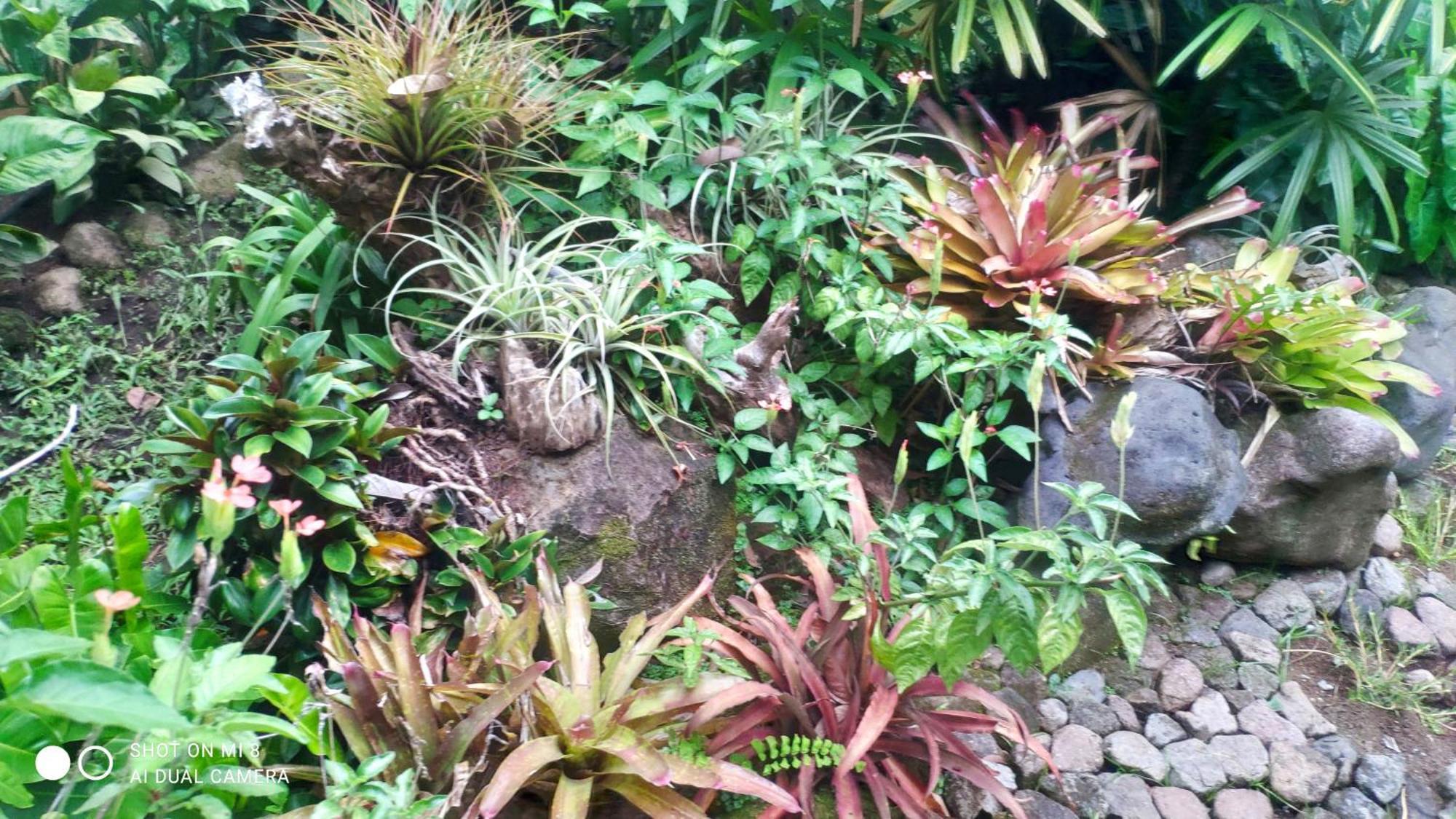 Sun House Lodge Mambajao