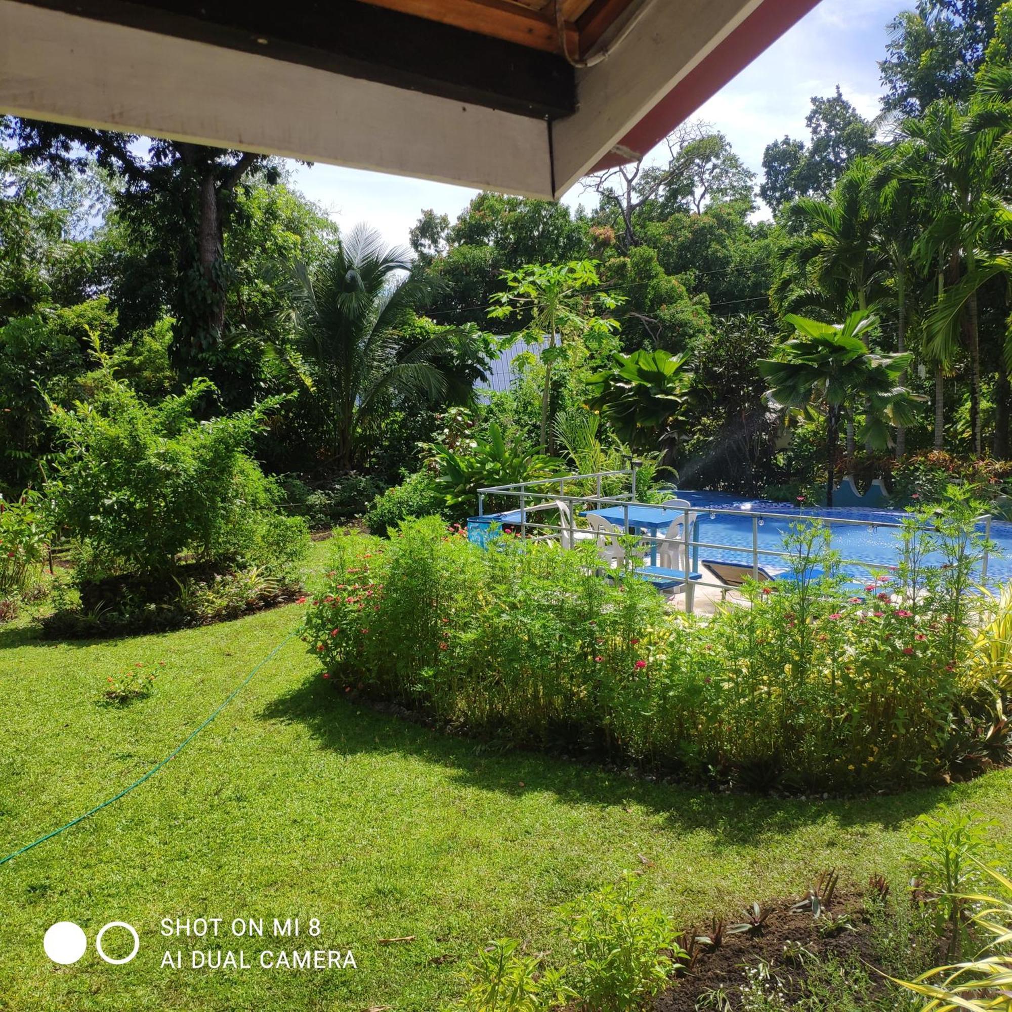 Lodge Sun House