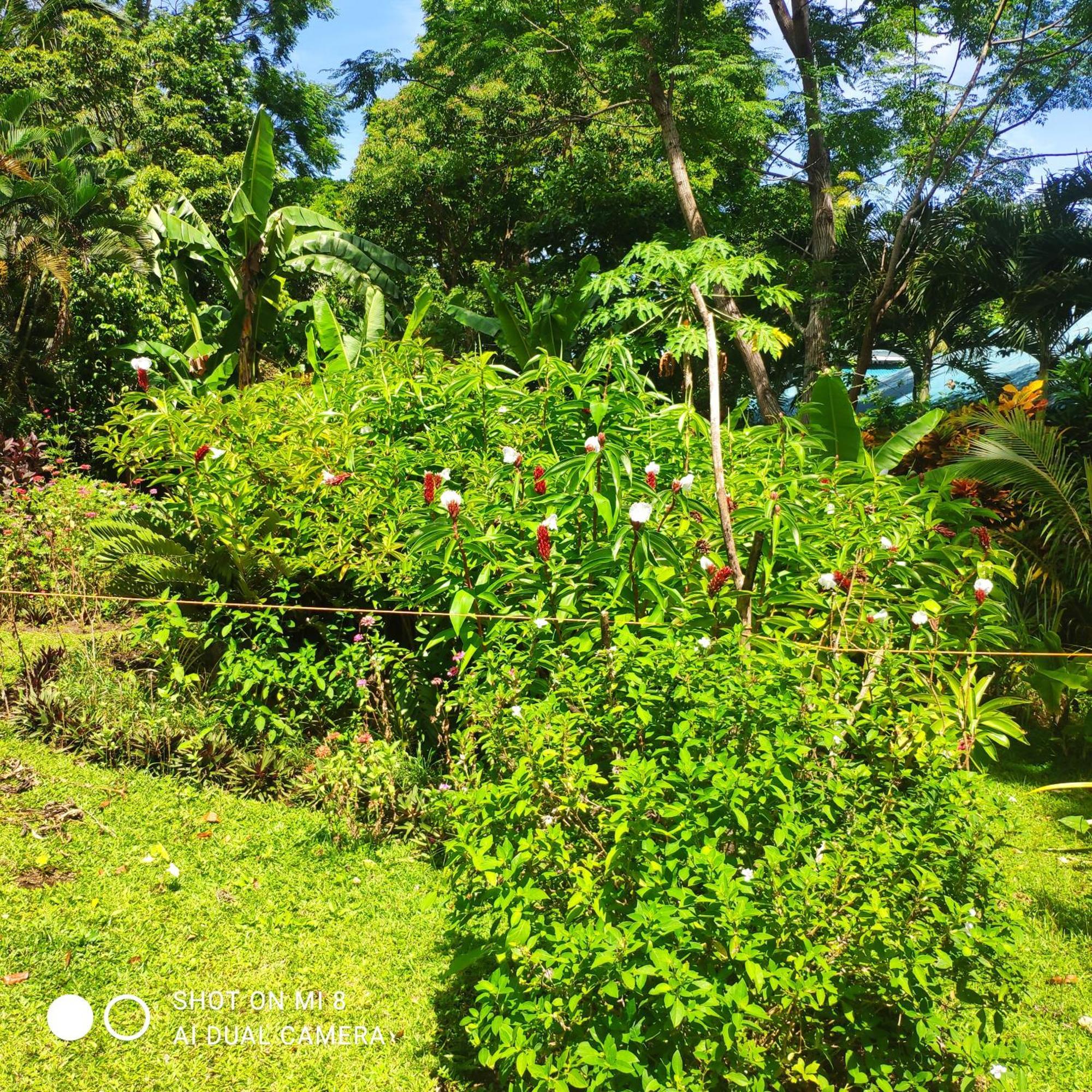 Lodge Sun House Mambajao